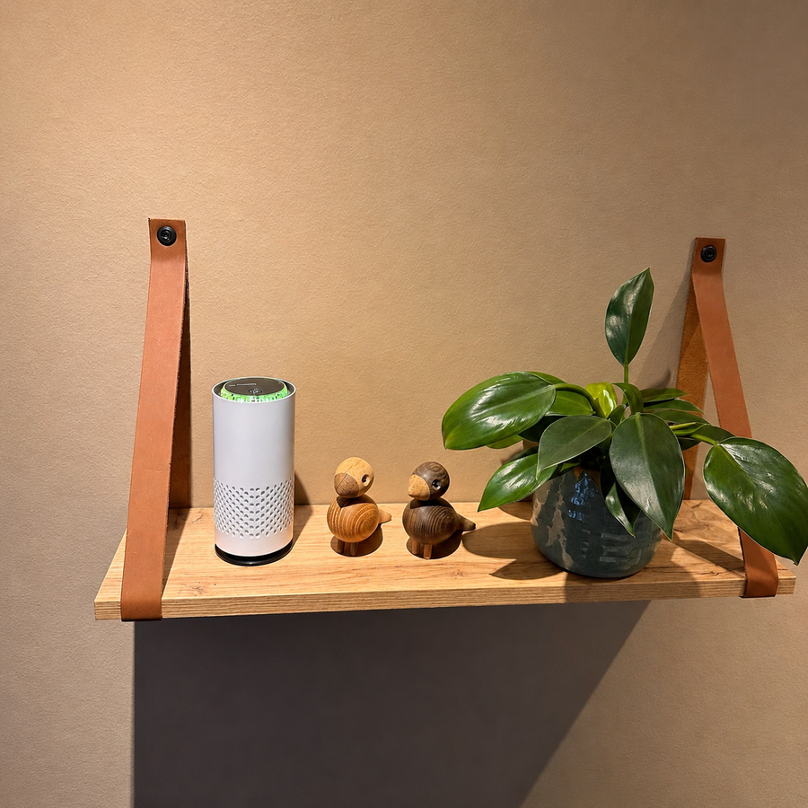Purificateur d'air